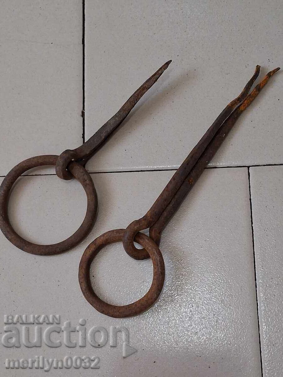 Gypsy hoops wrought iron Gypsy hoops wrought iron