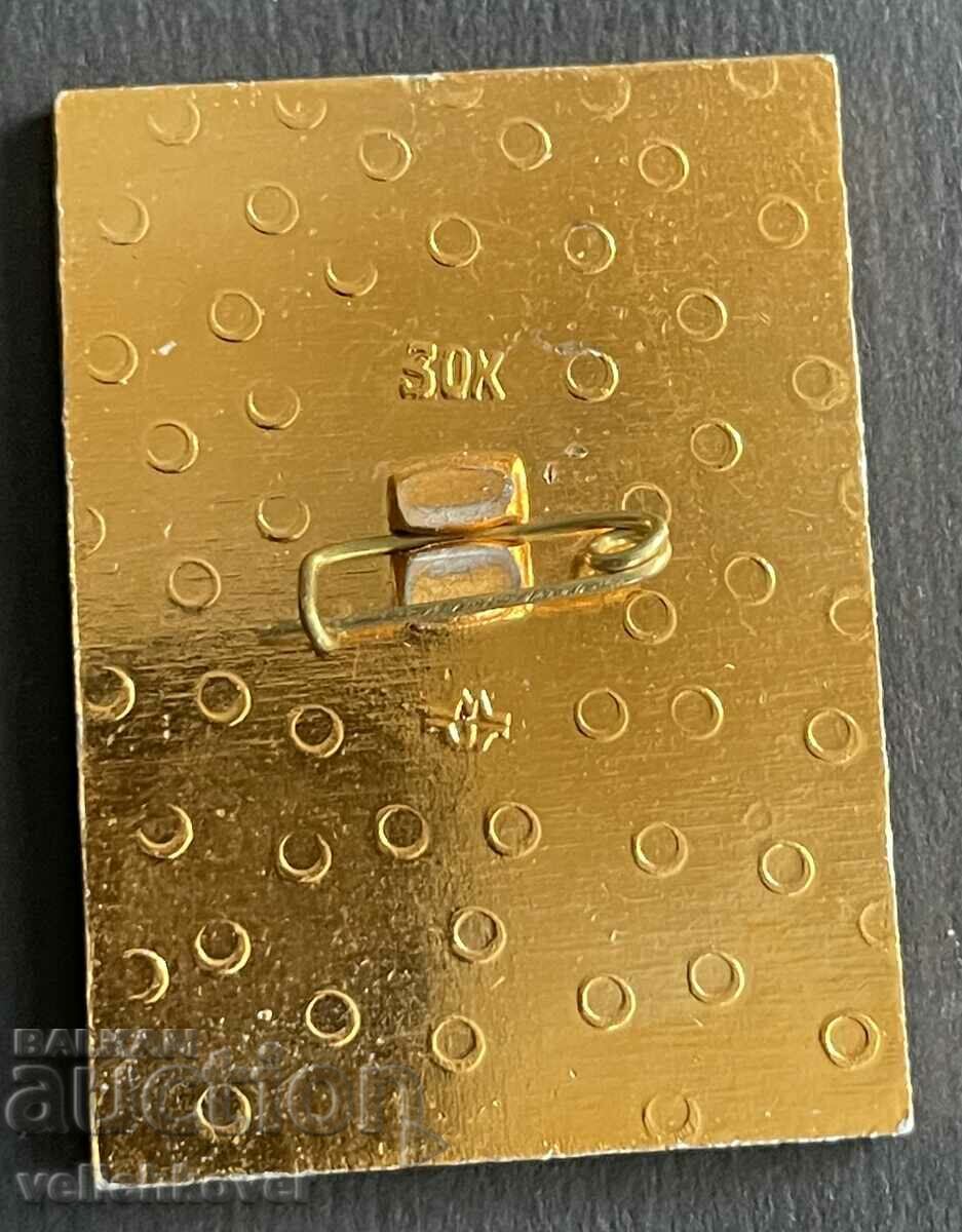 38632 USSR insignia warriors of Russia Paratrooper paratrooper 70s with price 10.00 BGN | € 5.11 38632 USSR insignia warriors of Russia Paratrooper paratrooper 70s with price 10.00 BGN | € 5.11