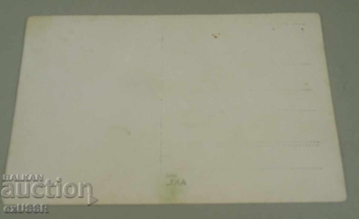 Доставка на Стара снимка картичка от Чипровци 1918 ,Носии