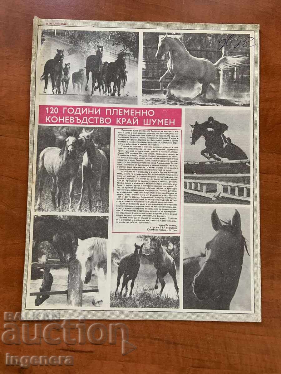 Δημοπρασία ΠΕΡΙΟΔΙΚΟ "BTA ΠΑΡΑΛΛΗΛΟΙ" ΑΡ.48/1984