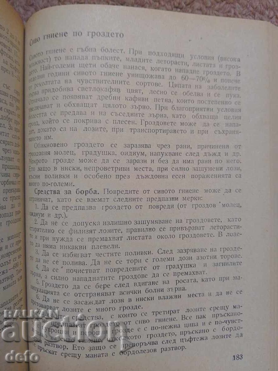 Practică viticolă și vinificație - doc. Mitko Nikov - 6