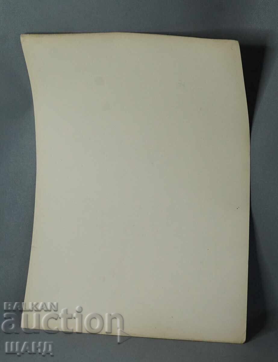 Licitație 1900 Litografie arhitecturală vieneză a unei clădiri de casă Licitație 1900 Litografie arhitecturală vieneză a unei clădiri de casă