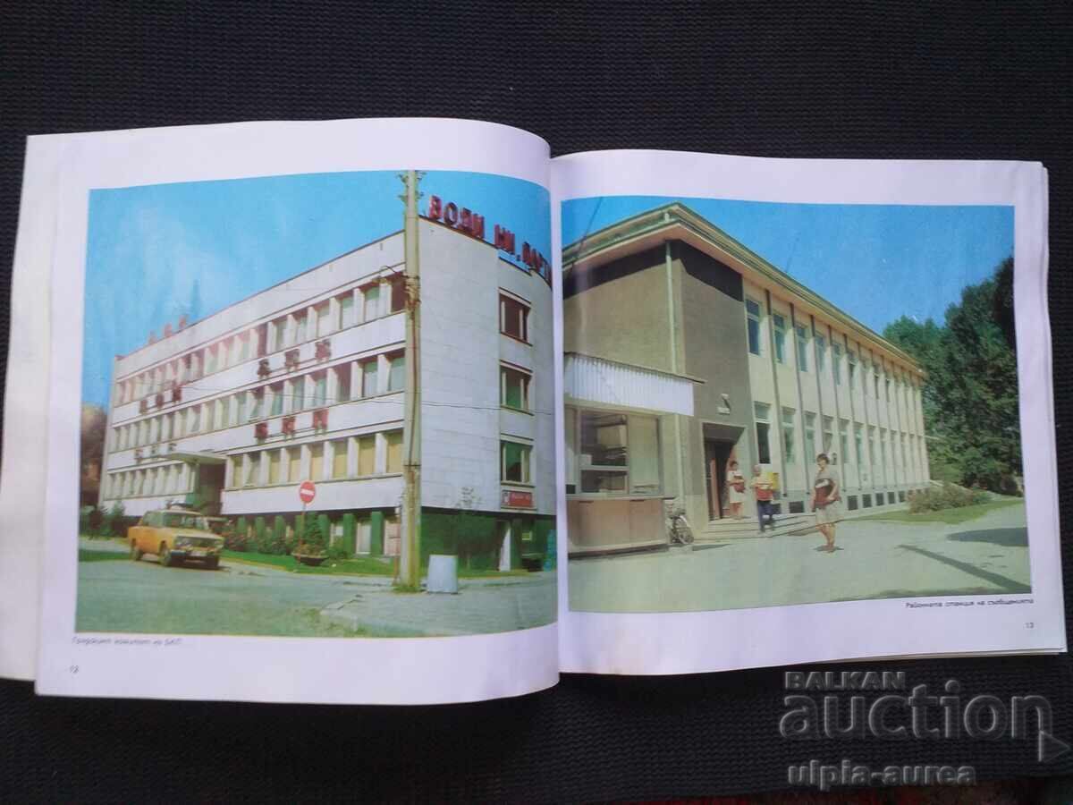Livrarea Broșură socială Pirdup