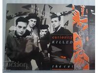 Curiosity Killed The Cat – Keep Your Distance