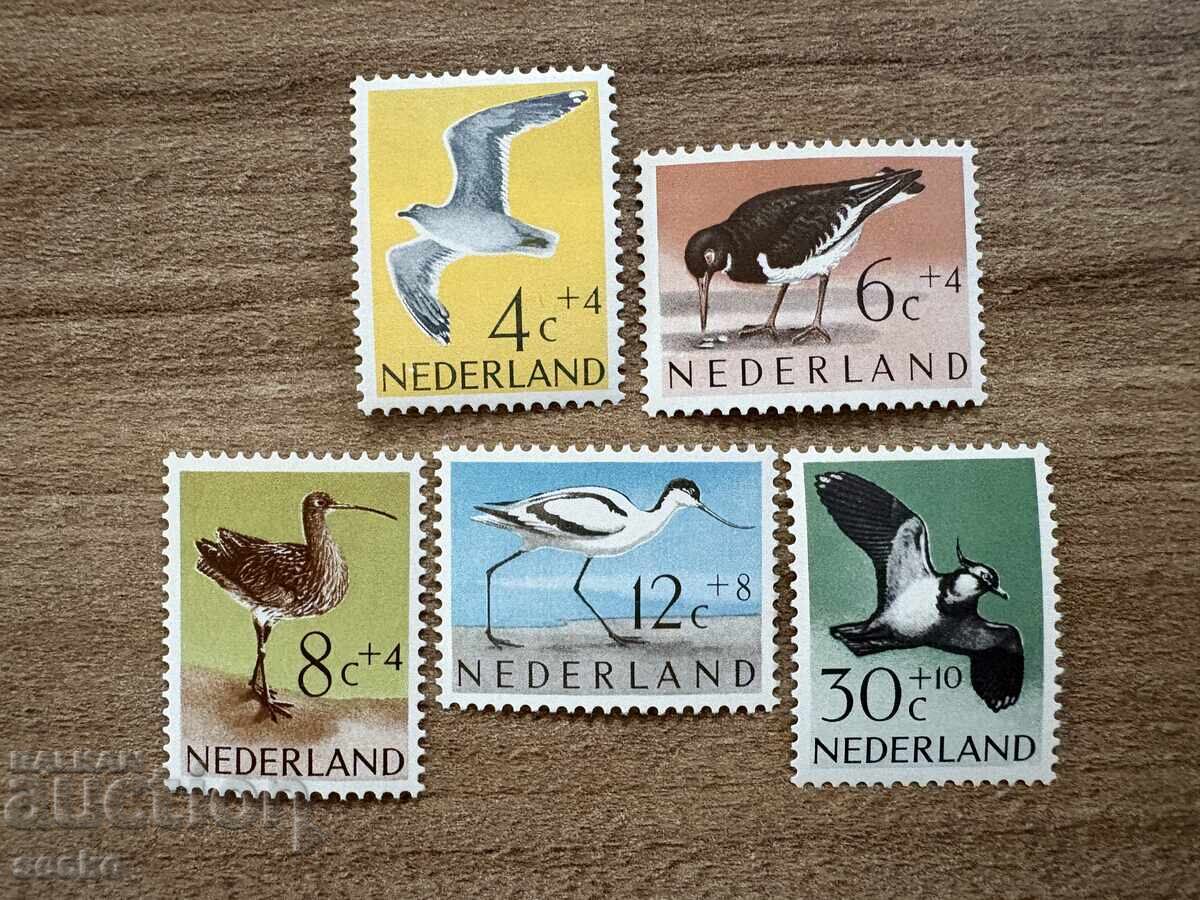 Netherlands - Charity Stamps - Birds (1961) MNH