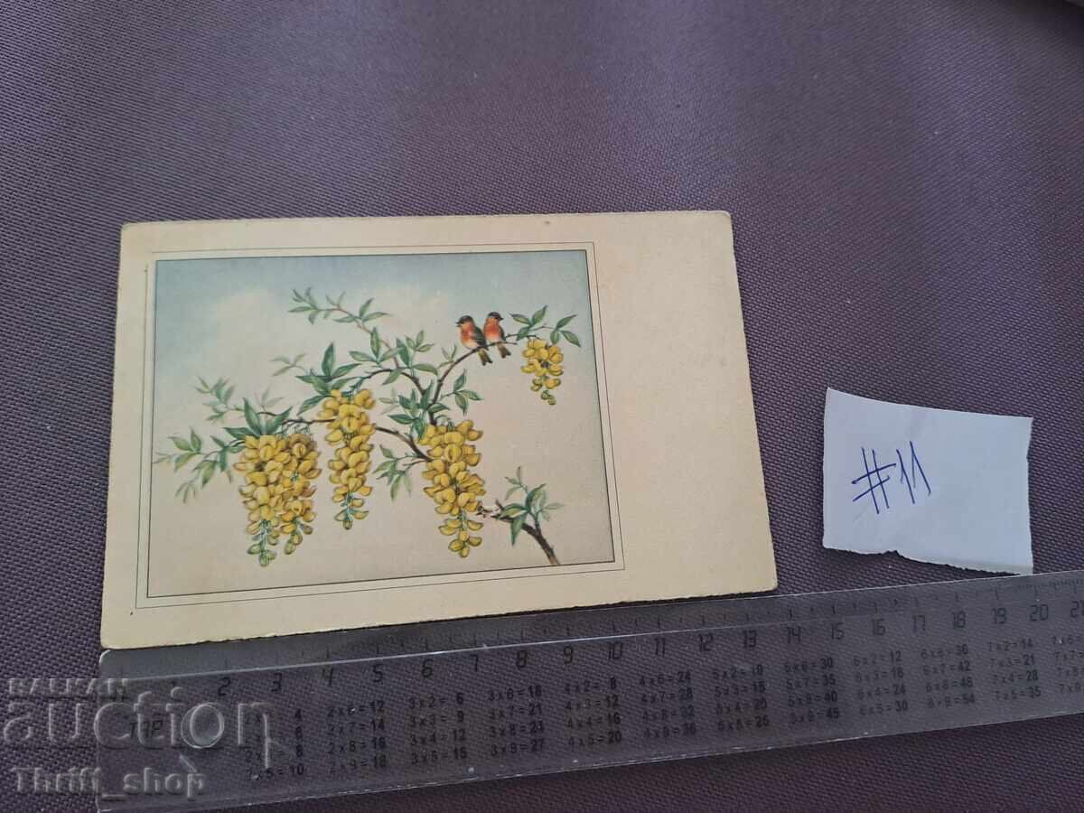 Ευχετήρια κάρτα - Πουλάκια σε κλαδί Ευχετήρια κάρτα - Πουλάκια σε κλαδί