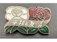 Κίνα Σήμα 1964