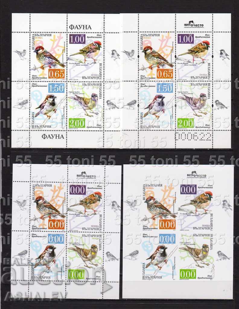 2017 Sparrows 4-block full set 2017 Sparrows 4-block full set