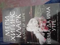 Μέρι Χίγκινς Κλαρκ