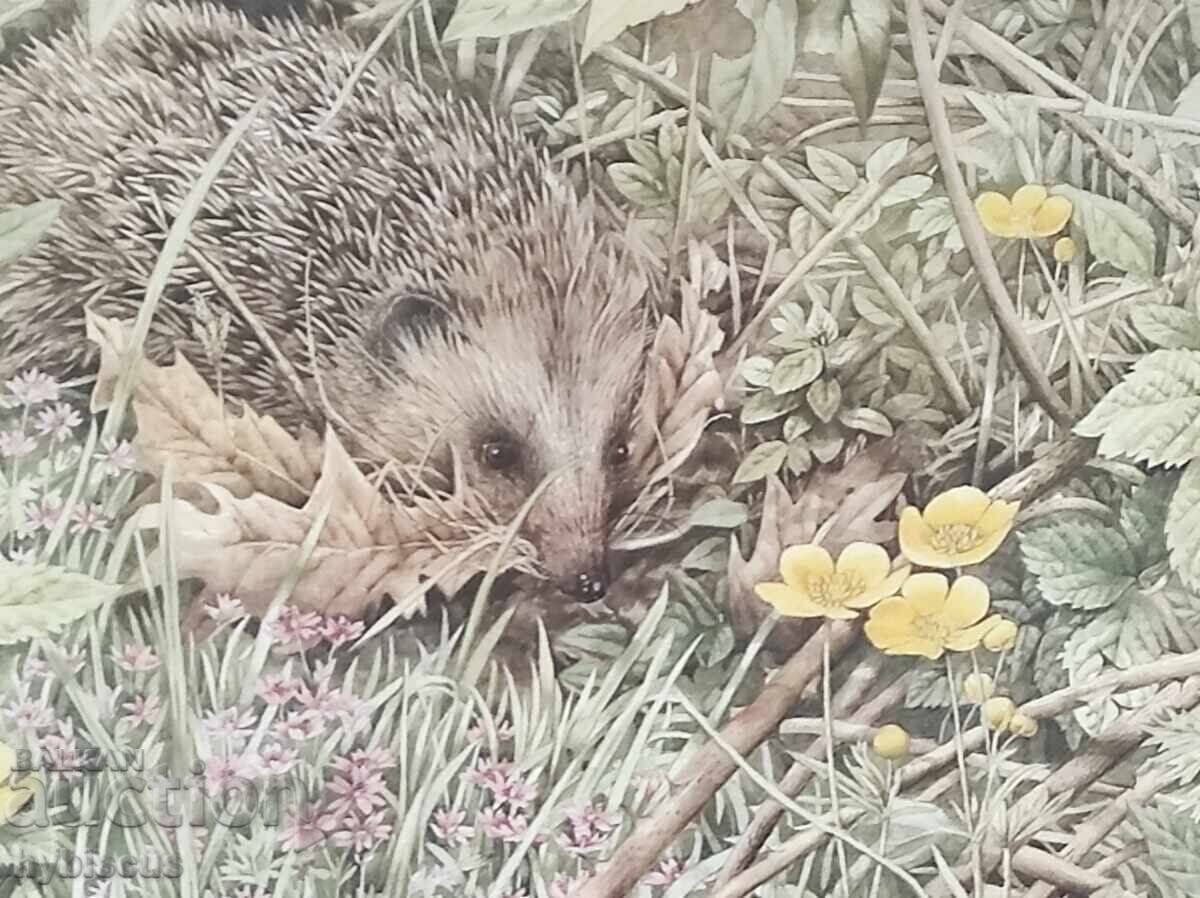 Reproduction by the famous Dutch artist "Marjolein Bastin" with price 15.00 BGN | € 7.67