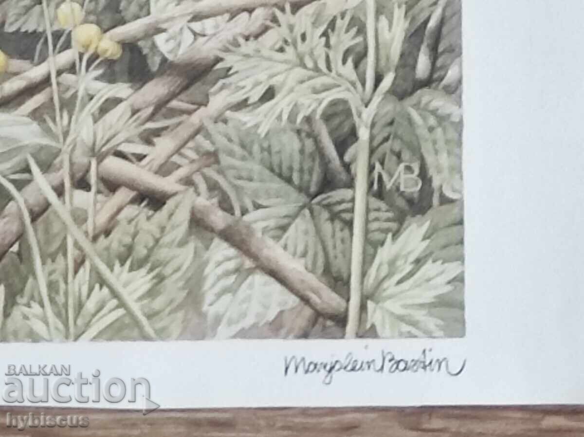 Auction  Reproduction by the famous Dutch artist "Marjolein Bastin"