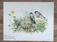 Репродукция от холандската художничка „Маржолайн Бастин"