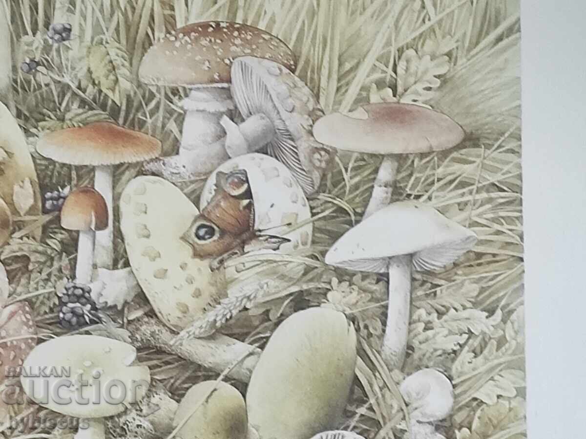 Αναπαραγωγή από την Ολλανδή καλλιτέχνιδα "Μαρζολαίν Μπαστίν" με τιμή 15.00 BGN | € 7.67 Αναπαραγωγή από την Ολλανδή καλλιτέχνιδα "Μαρζολαίν Μπαστίν" με τιμή 15.00 BGN | € 7.67