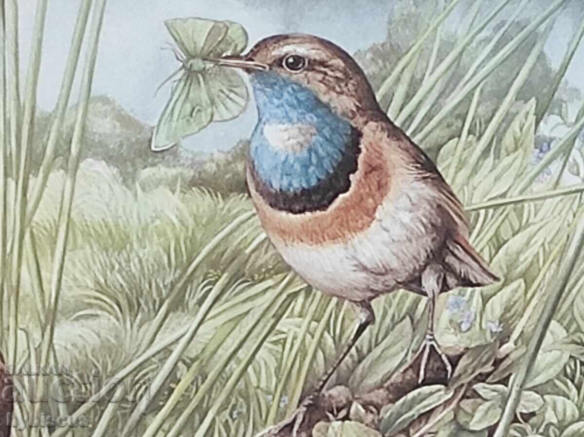 Reproduction by the Dutch artist "Marjolein Bastin" with price € 5.00 | 9.78 BGN