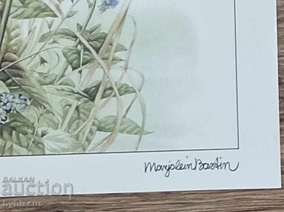 Auction  Reproduction by the Dutch artist "Marjolein Bastin"