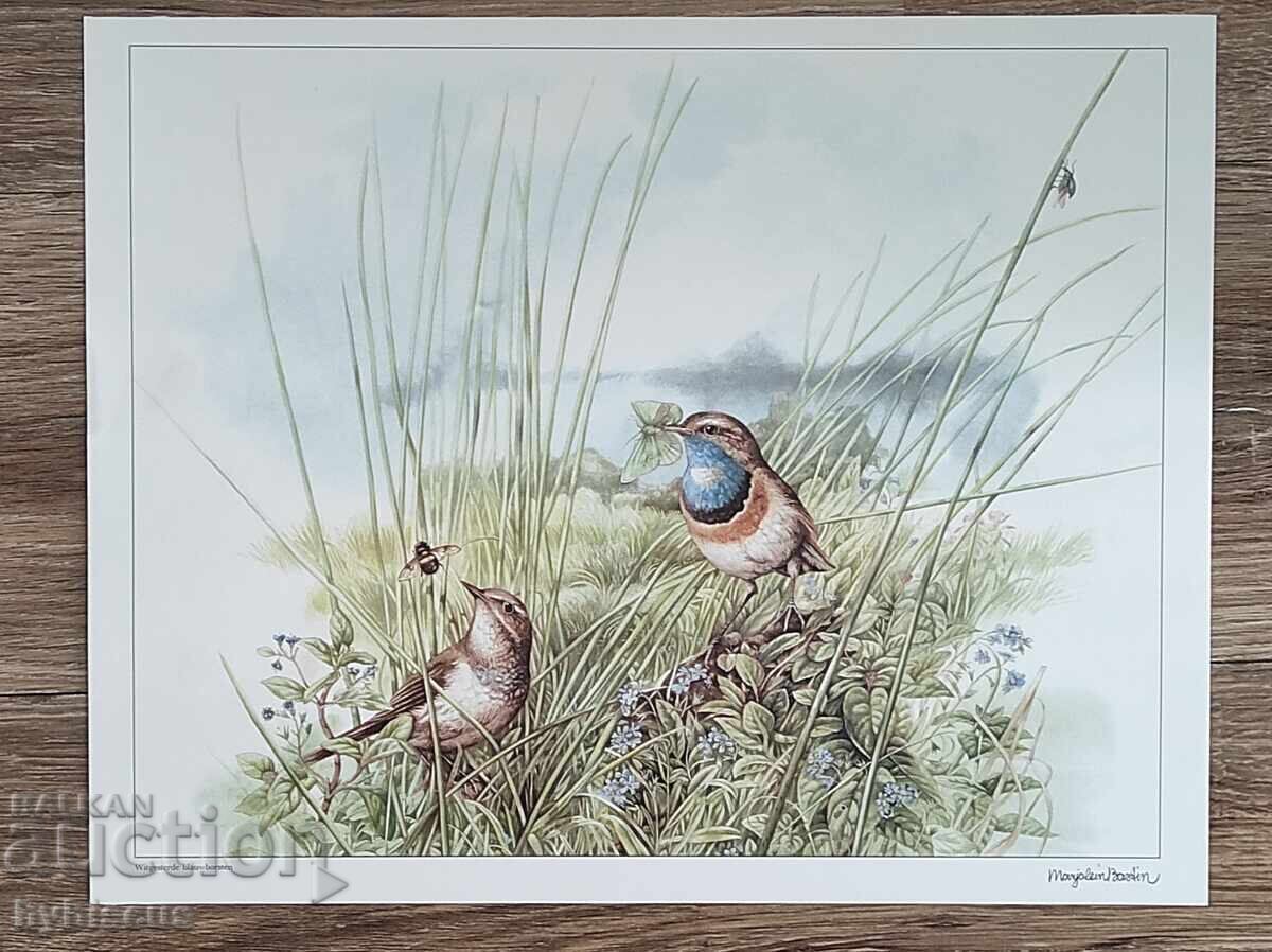 Reproduction by the Dutch artist "Marjolein Bastin"