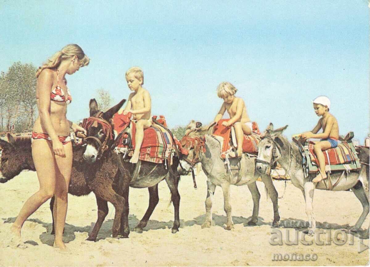 Παλιά καρτ ποστάλ - Σάνι Μπιτς, Καραβάνι με γαϊδούρια