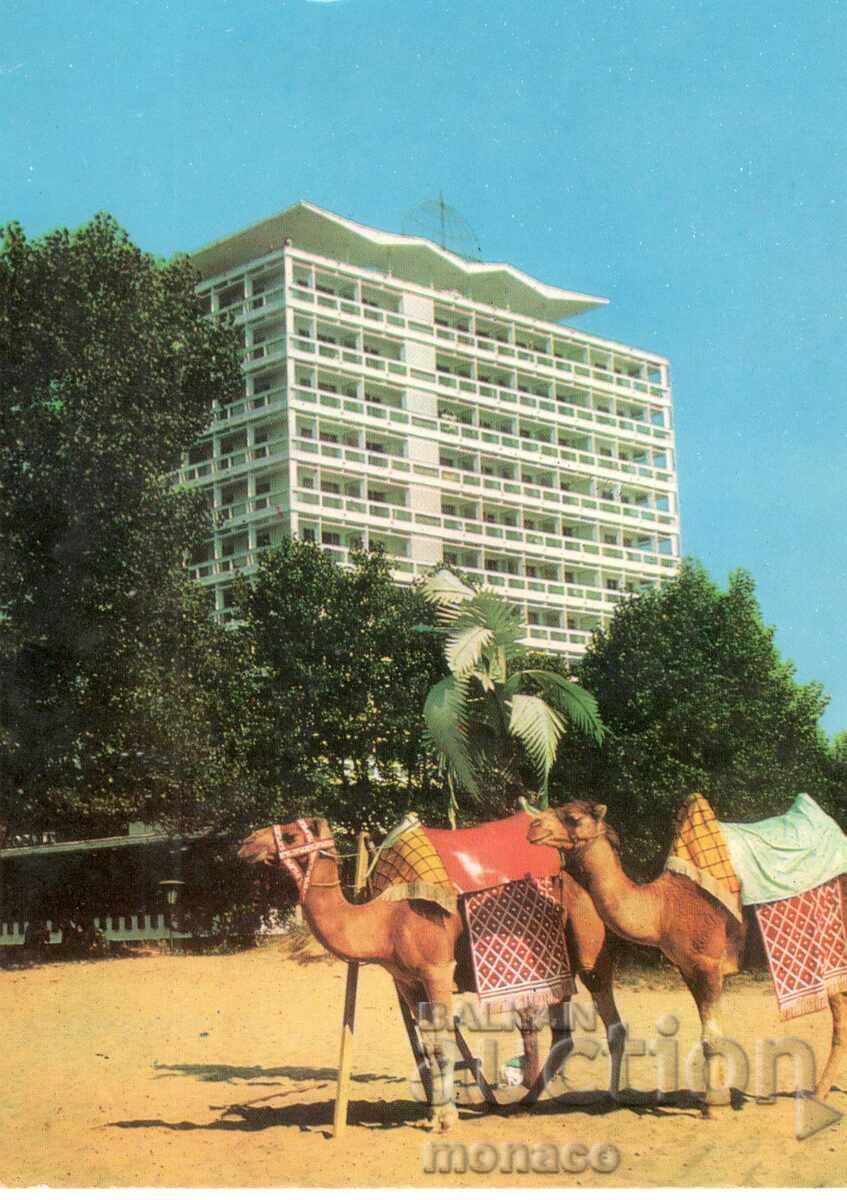 Παλιά καρτ ποστάλ - Σάνι Μπιτς, Η παραλία μπροστά από το ξενοδοχείο "Γκλόμπους"