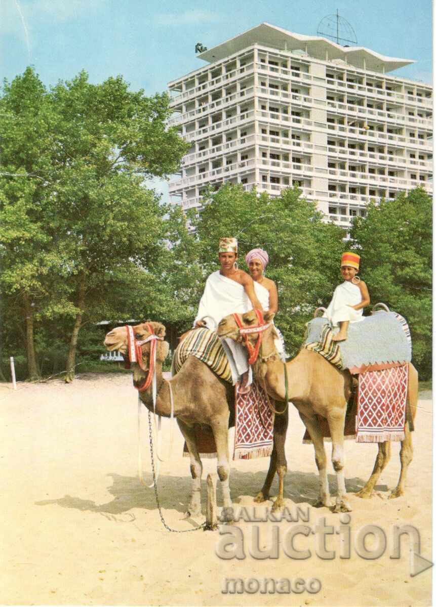 Carte poștală veche - Sunny Beach, Plaja din fața hotelului "Globus"