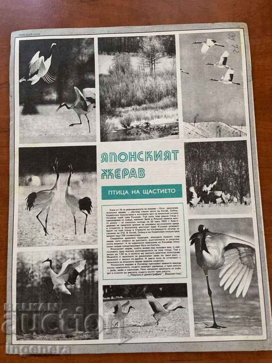 Аукцион СПИСАНИЕ " БТА ПАРАЛЕЛИ " КН. 9/1984 г.