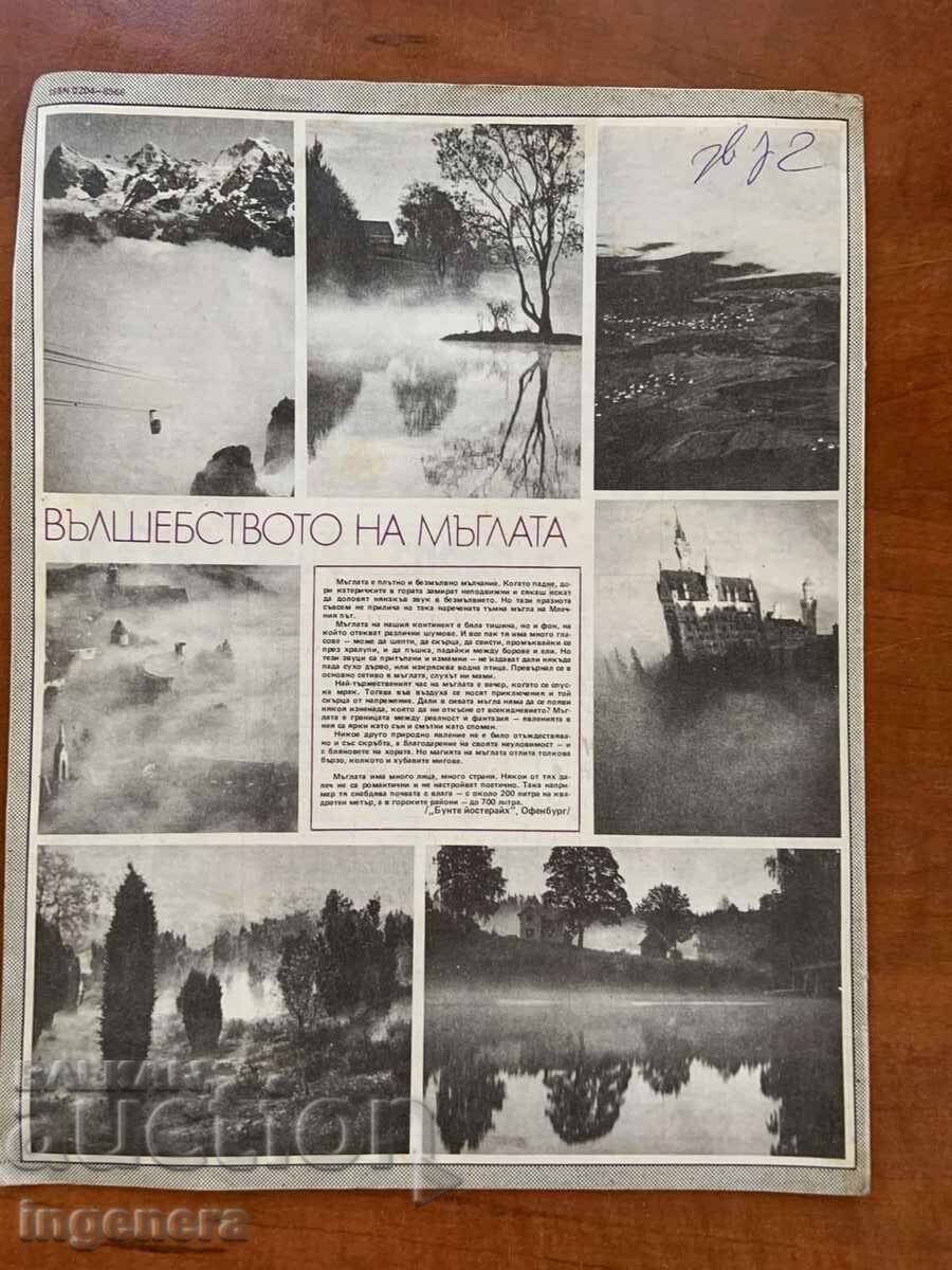 Licitație REVISTA "BTA PARALELE" NR. 3/1984 Licitație REVISTA "BTA PARALELE" NR. 3/1984