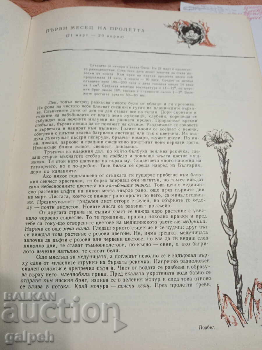 Аукцион КНИГА - 1 бр. - КАЛЕНДАР НА ПРИРОДАТА - 1 лв.