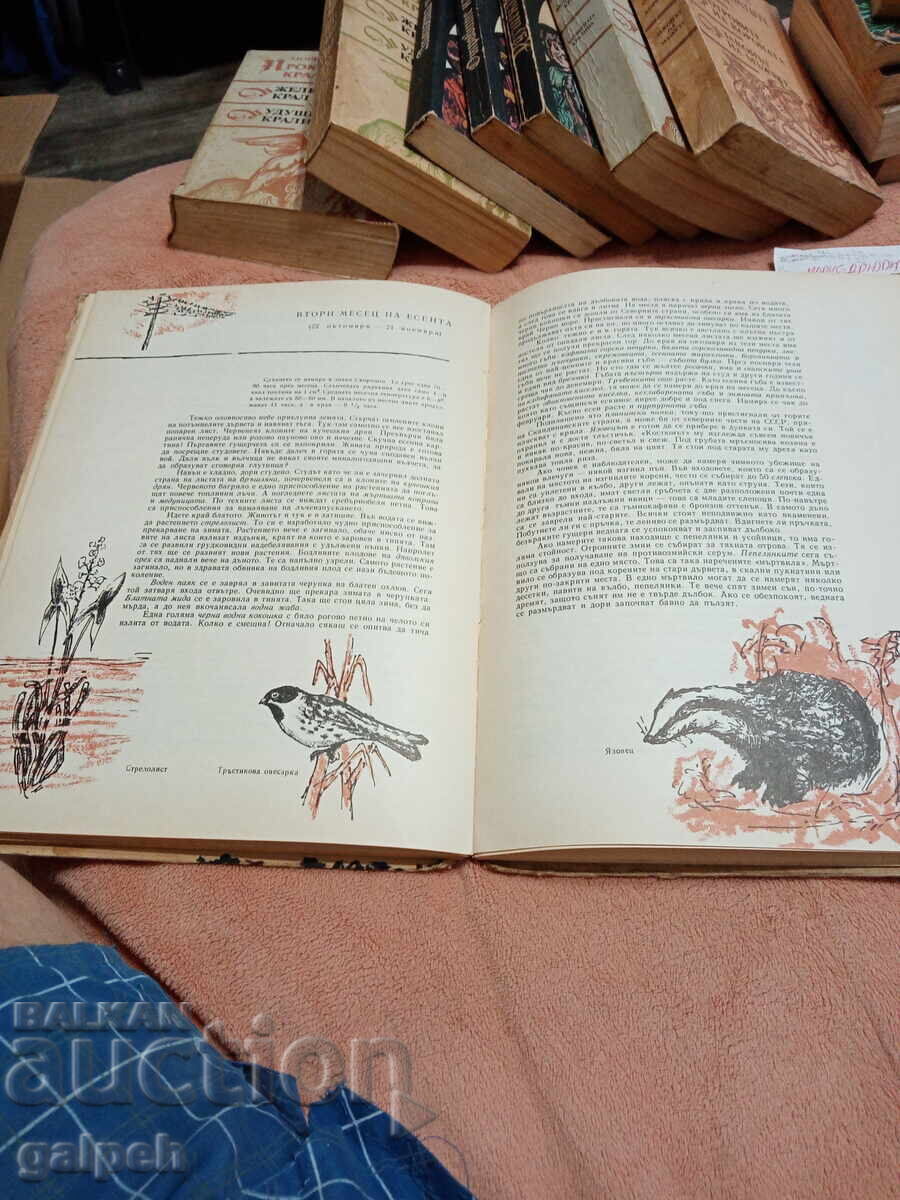 КНИГА - 1 бр. - КАЛЕНДАР НА ПРИРОДАТА - 1 лв. - 5