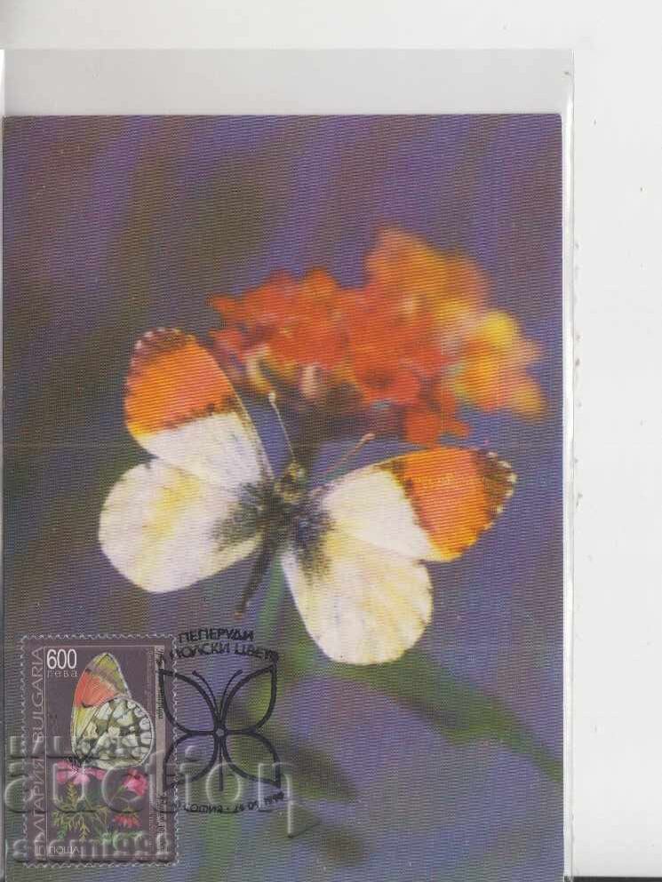 Ταχυδρομική κάρτα ΜΑΧ ΠΕΤΑΛΟΥΔΕΣ ΕΝΤΟΜΑ