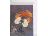 Ταχυδρομική κάρτα ΜΑΧ ΠΕΤΑΛΟΥΔΕΣ ΕΝΤΟΜΑ