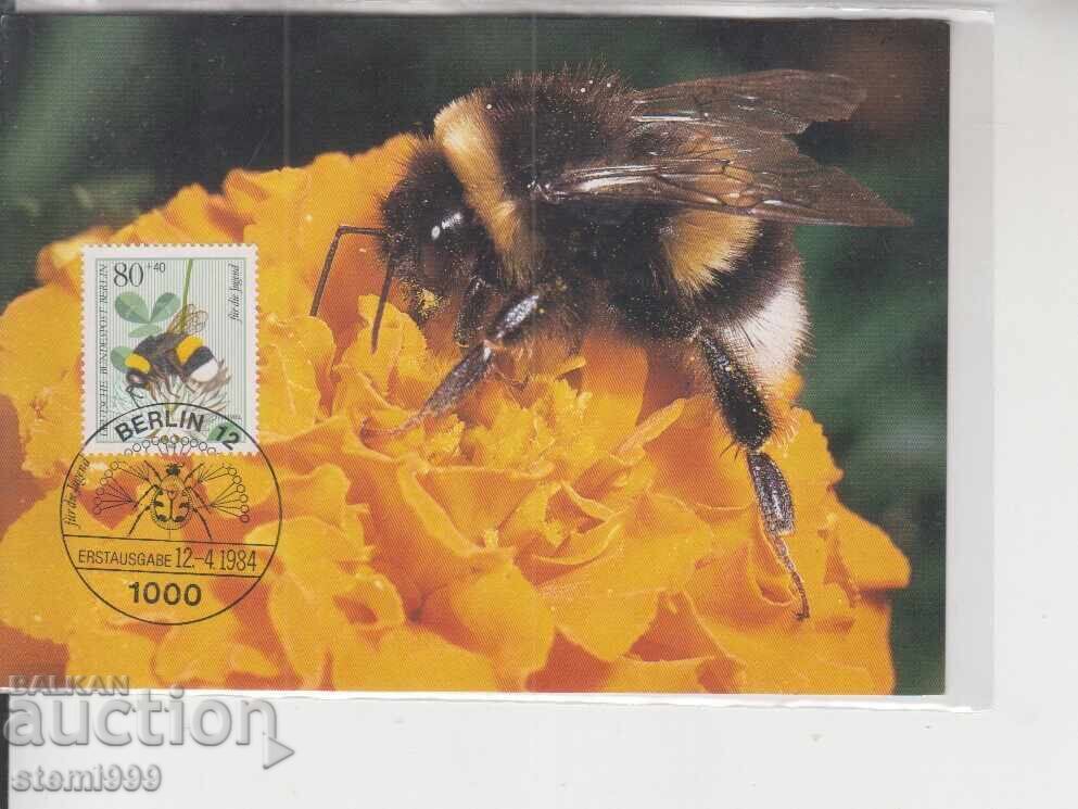 Postcard MAX BEES INSECTS