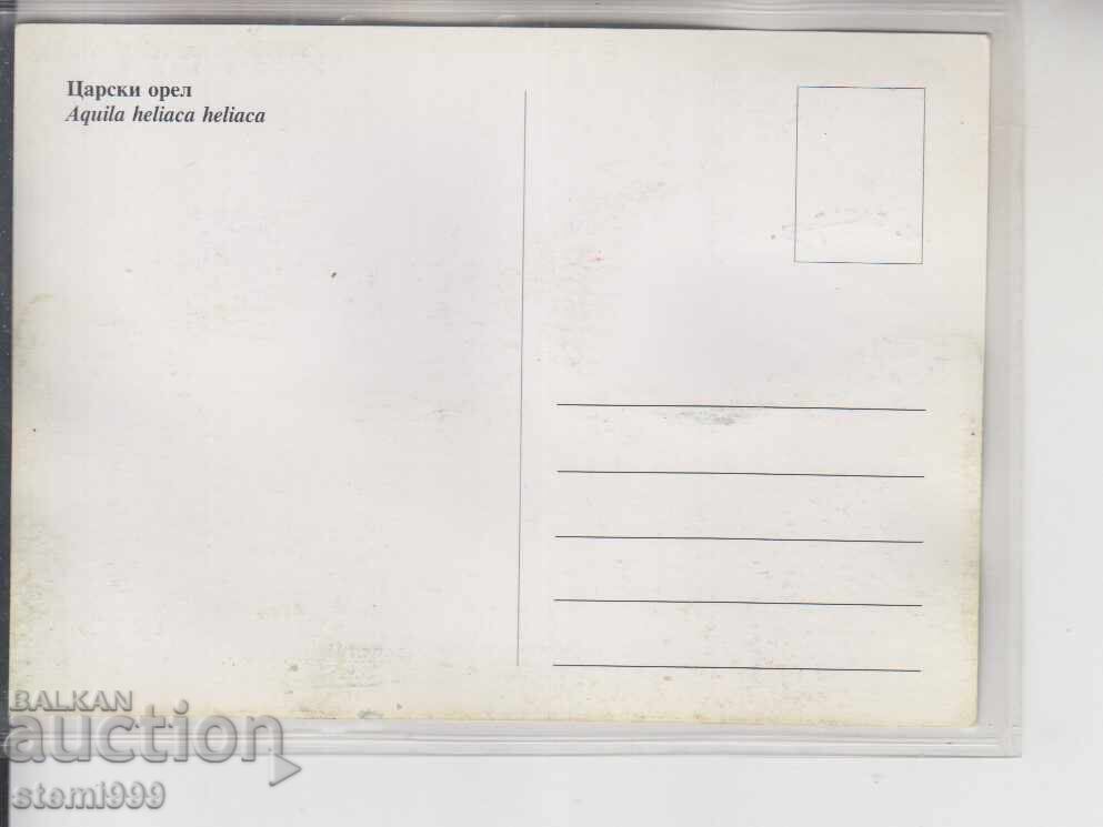 Пощенска картата МАХ ПТИЦИ с цена 1.40 лв. | € 0.72 Пощенска картата МАХ ПТИЦИ с цена 1.40 лв. | € 0.72