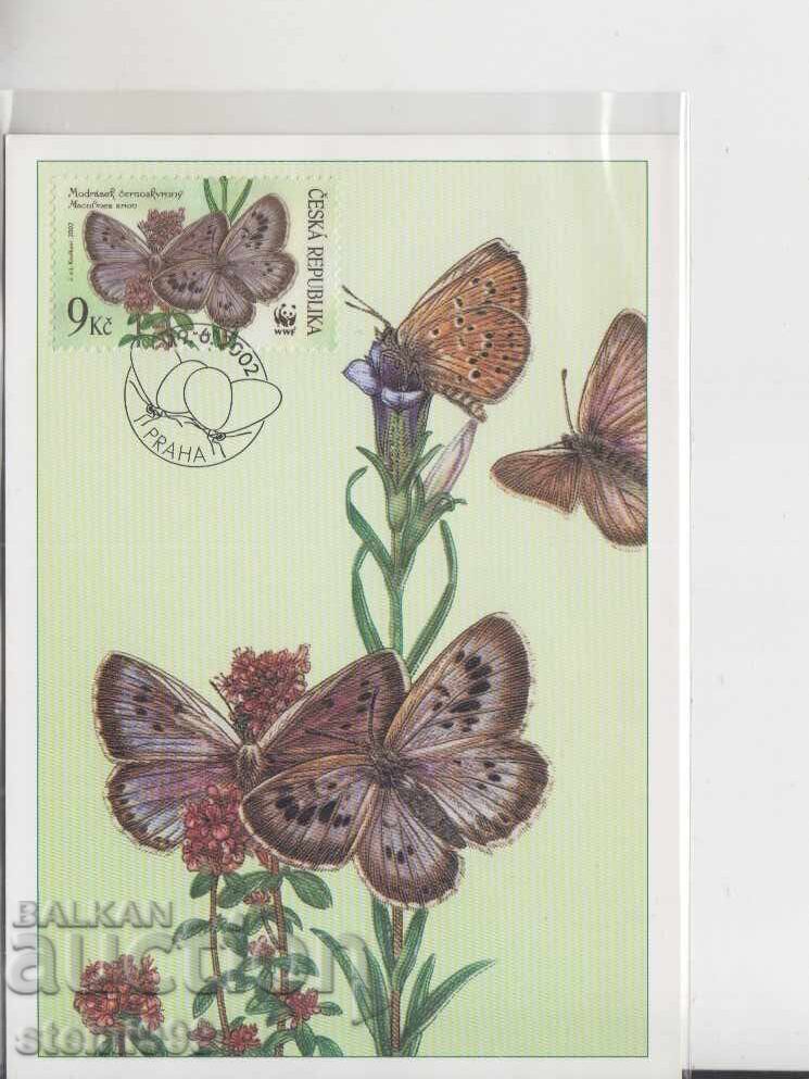 Ταχυδρομική κάρτα ΜΑΧ ΠΕΤΑΛΟΥΔΕΣ ΕΝΤΟΜΑ