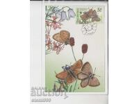 Ταχυδρομική κάρτα ΜΑΧ ΠΕΤΑΛΟΥΔΕΣ ΕΝΤΟΜΑ