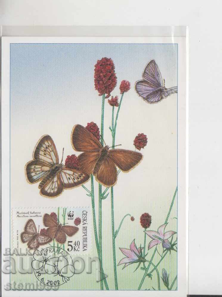Postcard MAX BUTTERFLIES INSECTS Postcard MAX BUTTERFLIES INSECTS