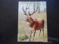 Стара картичка