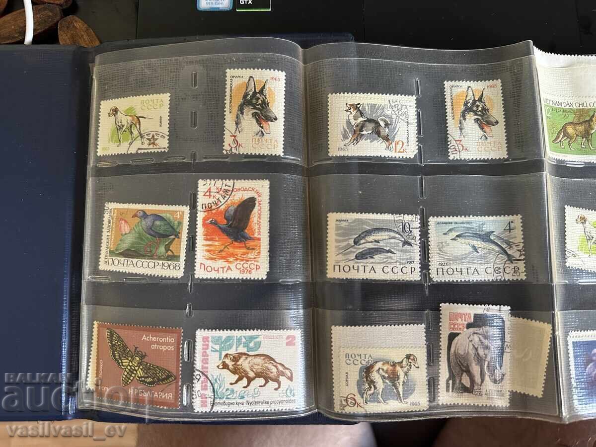 Γραμματόσημα ΕΣΣΔ και ΛΔ Βουλγαρίας με τιμή 14.00 BGN | € 7.16 Γραμματόσημα ΕΣΣΔ και ΛΔ Βουλγαρίας με τιμή 14.00 BGN | € 7.16