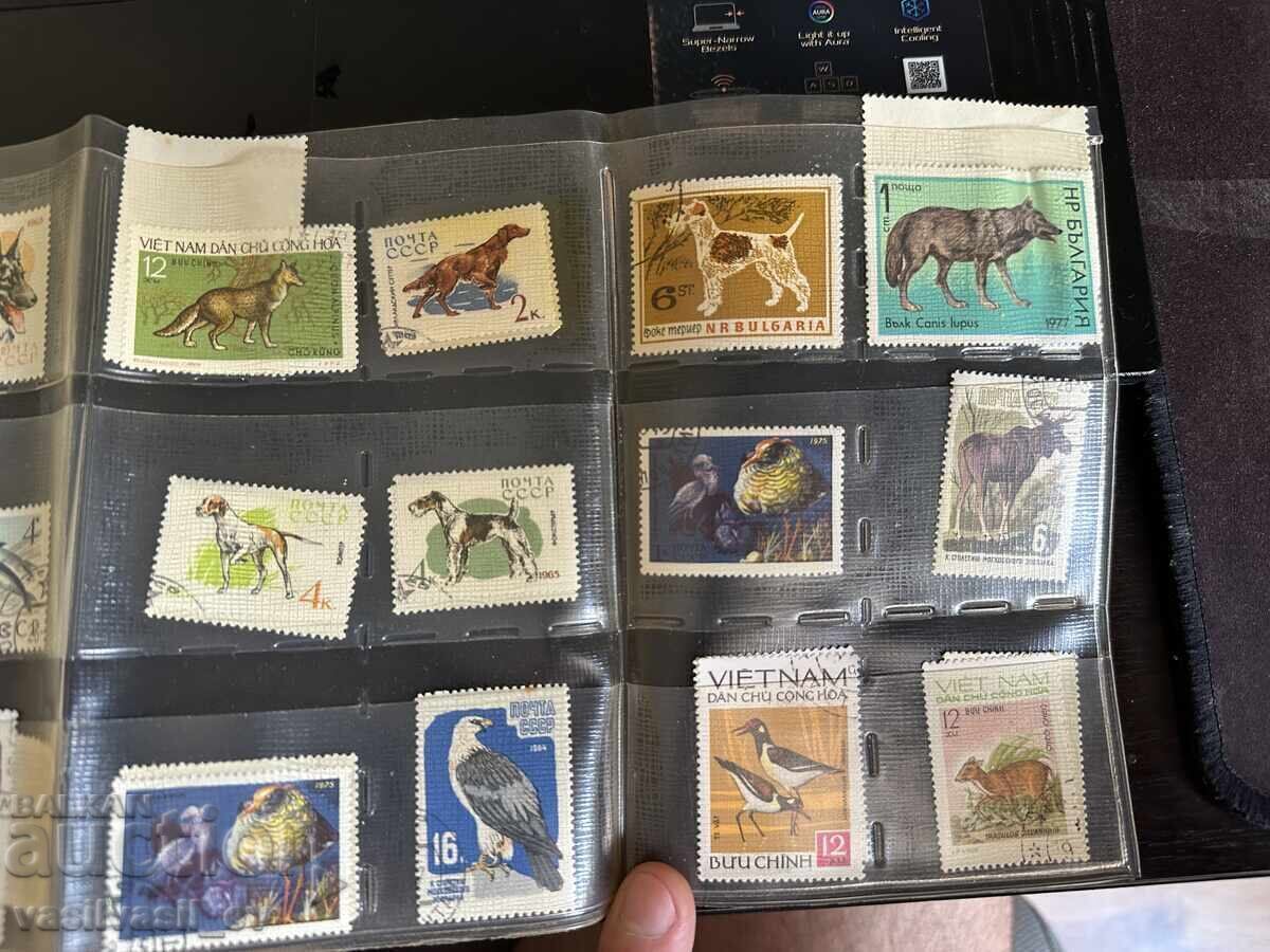 Δημοπρασία Γραμματόσημα ΕΣΣΔ και ΛΔ Βουλγαρίας Δημοπρασία Γραμματόσημα ΕΣΣΔ και ΛΔ Βουλγαρίας