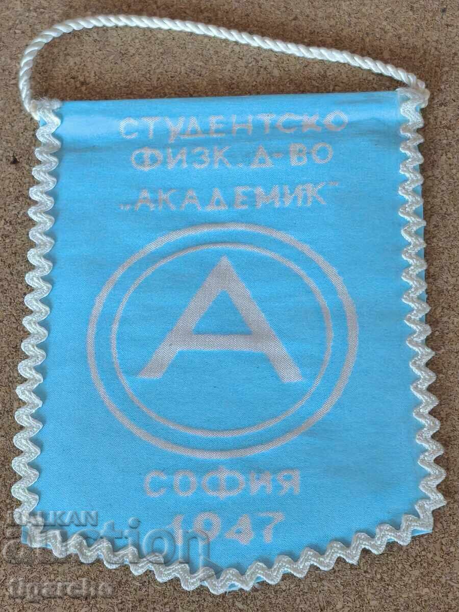 Δημοπρασία Ακαδημαϊκού Φλαγκίου