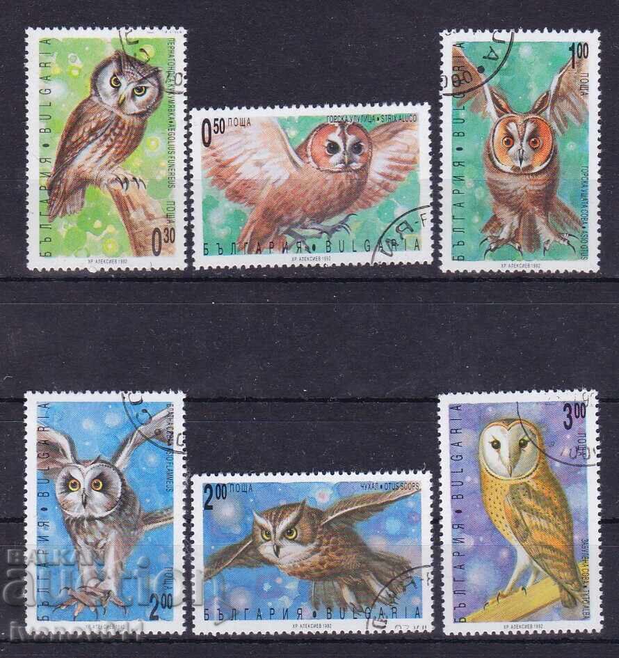 ΒΟΥΛΓΑΡΙΑ - ΝΥΧΤΕΡΙΝΑ ΠΟΥΛΙΑ