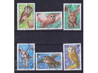 BULGARIA - PĂSĂRI DE NOAPTE