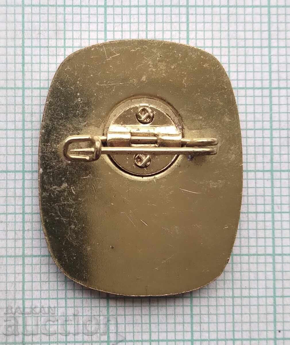 Auction  19158 Badges - Pilgrimage to Lourdes, Saar-Palatinate