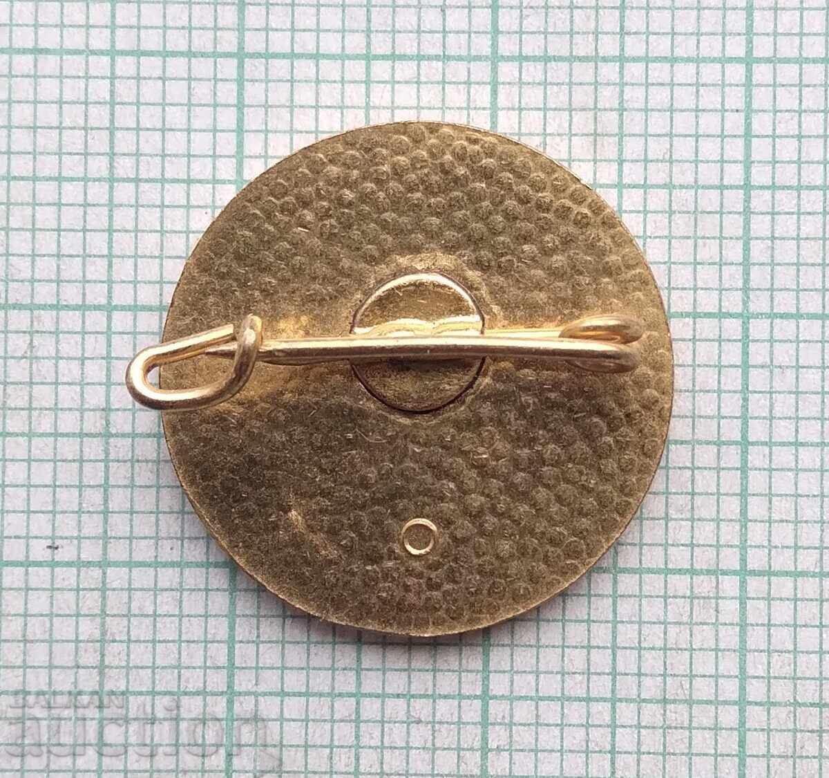 Auction  19163 Badges - French Sports Federation