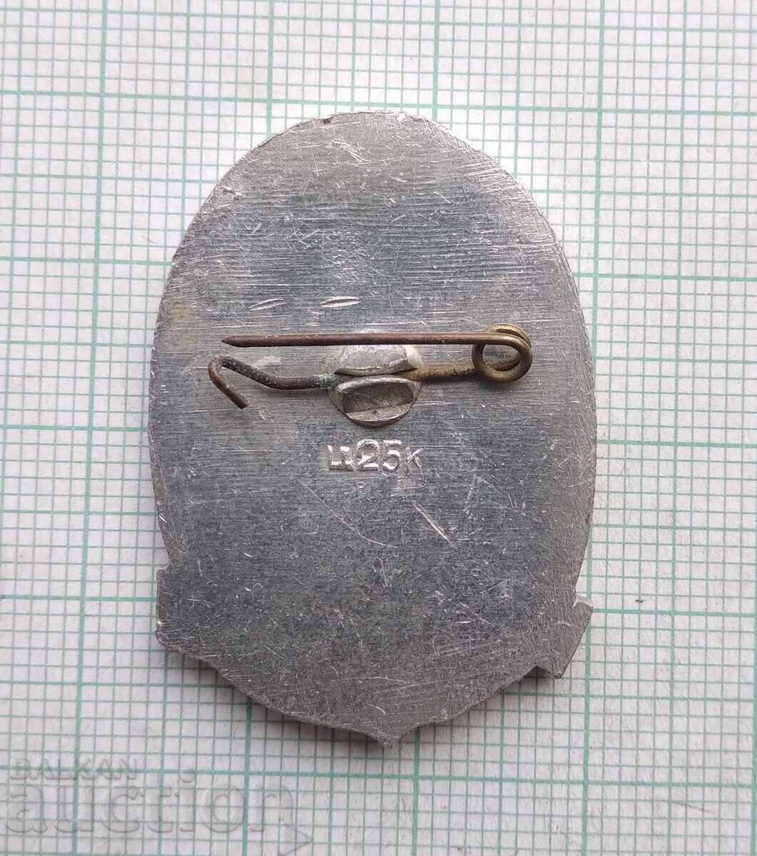 Auction 19167 Badge - Kotovsky - Hero of the Civil War Auction 19167 Badge - Kotovsky - Hero of the Civil War