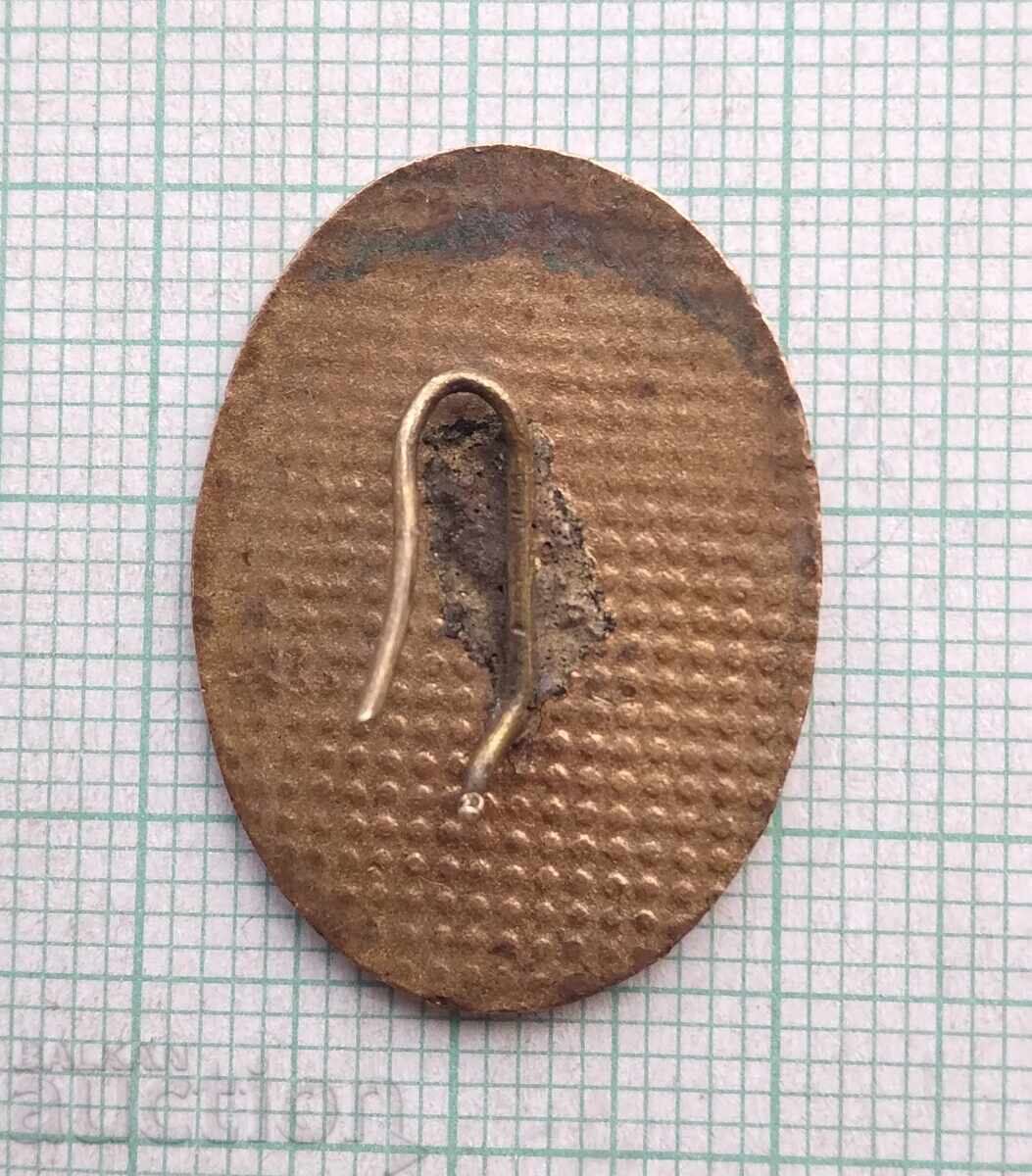 Licitație 19168 Cocardă - email