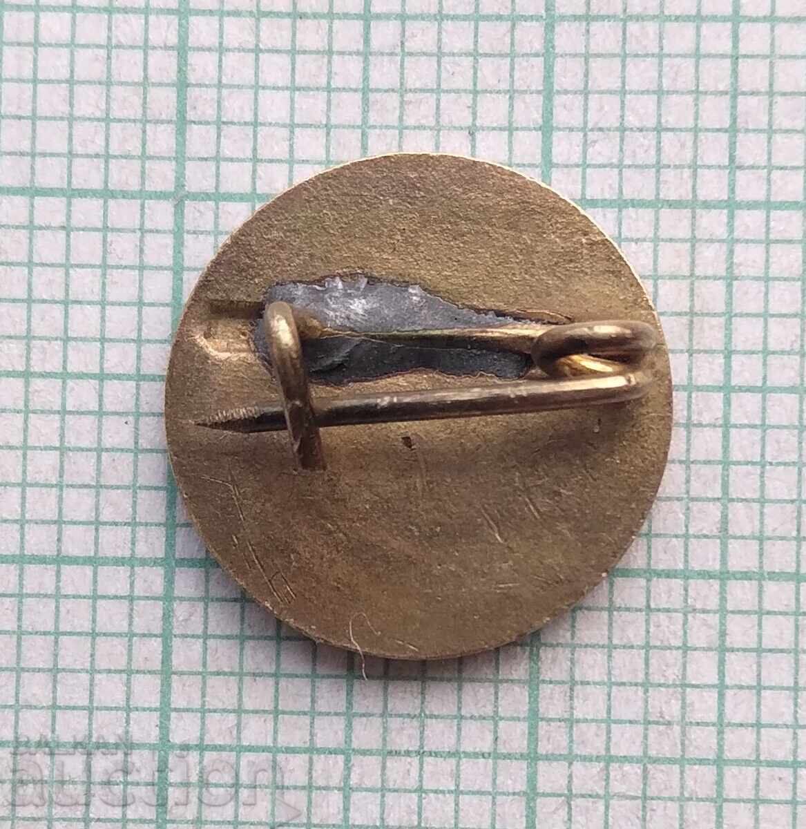 Licitație 19168 Insigna - Crucea Roșie Polonia - bronz emailat