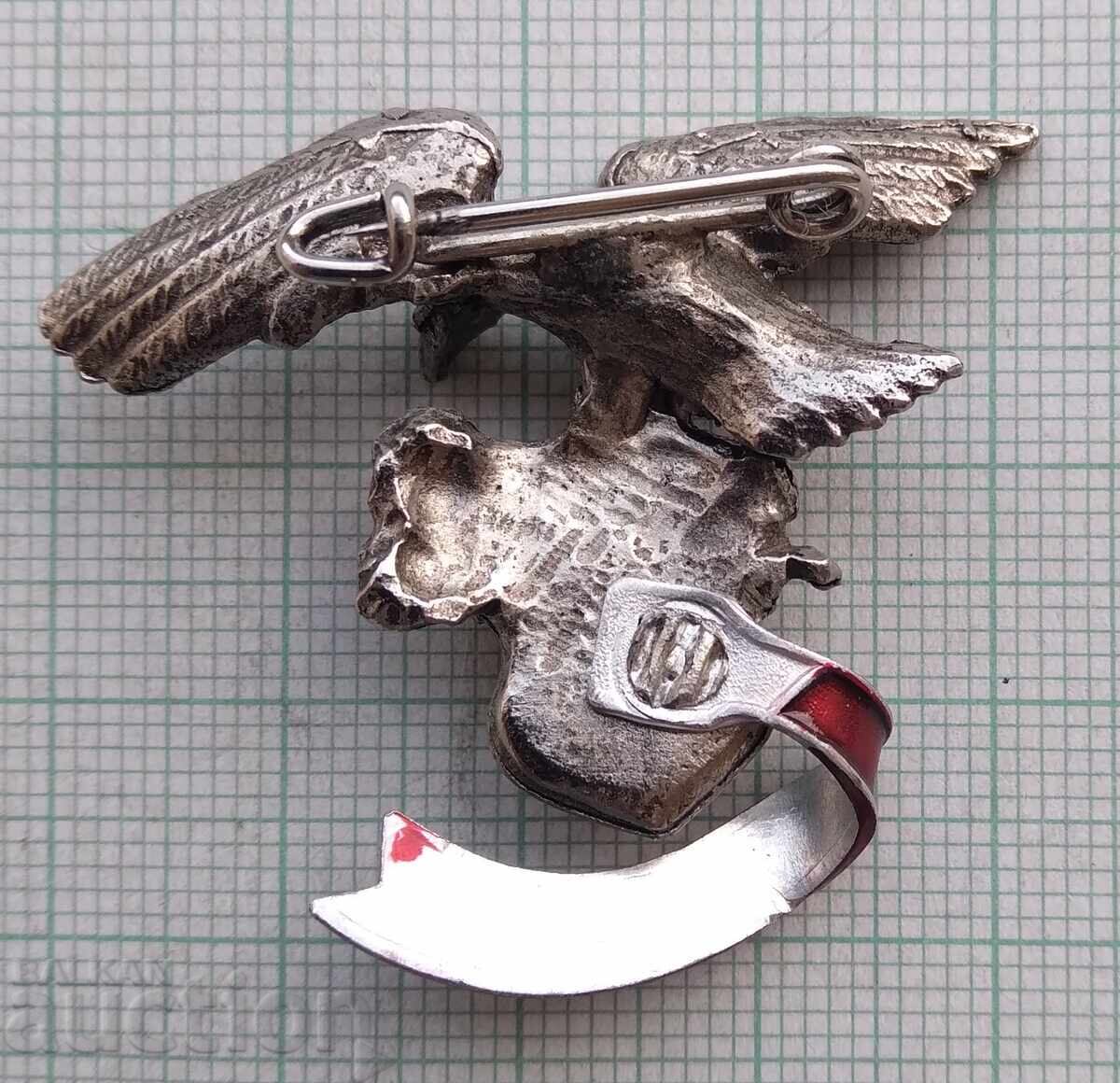 19176 Tourism Die Loreley Germany Eagle - 5