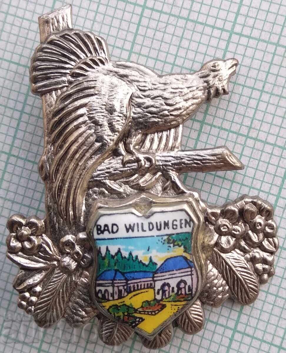 19177 Τουρισμός Bad Wildungen Γερμανία φασιανός