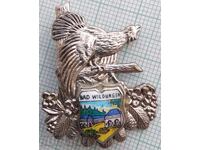 19177 Turism Bad Wildungen Germania fazan