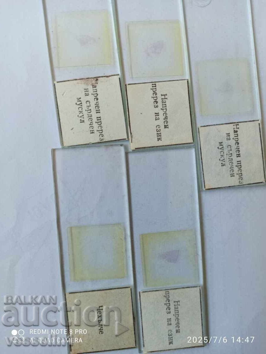 Microscope slides with price € 7.16 | 14.00 BGN