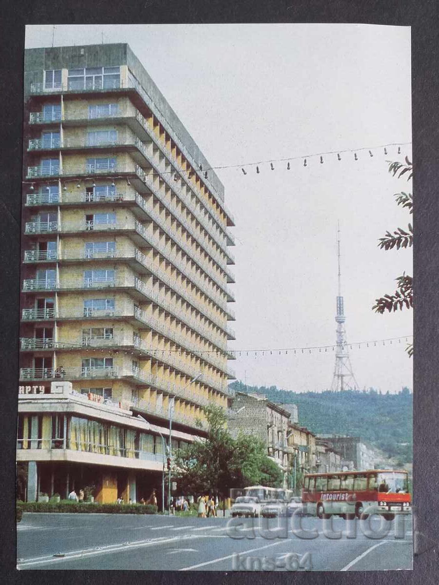 Bus Car Car Bus Car Car